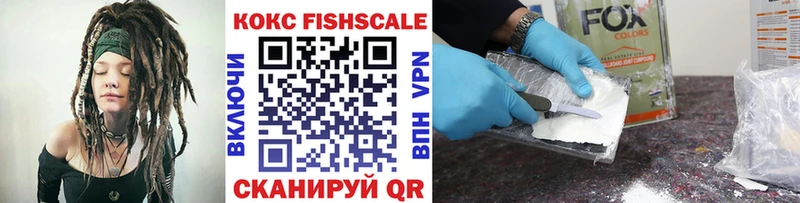COCAIN Fish Scale  mega вход  Темников 