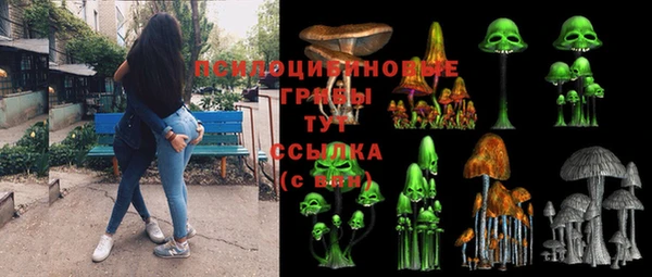 стафф Абаза