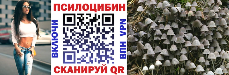 как найти закладки  Темников  Галлюциногенные грибы Psilocybine cubensis 