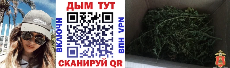 hydra ссылки Темников Каннабис THC 21%